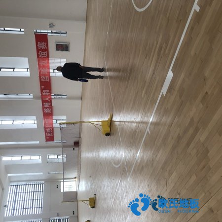 學(xué)?；@球館地板木紋型