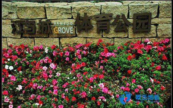 學(xué)?；@球場地地板反彈力