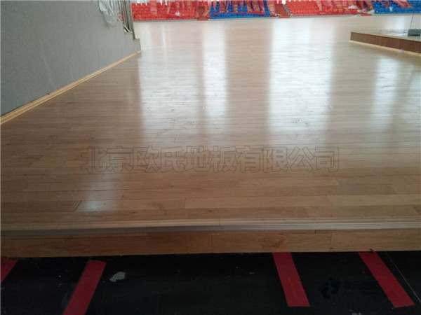 購買運(yùn)動(dòng)場(chǎng)館木地板品牌排行2